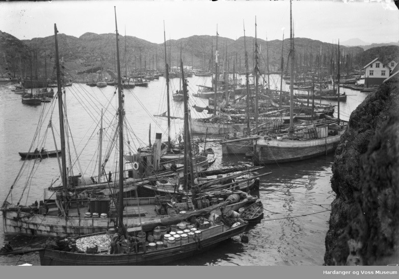 Historiefortelling - Vårsildefiske og sildesalting