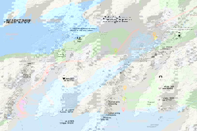 Parkering i Eidesvik
